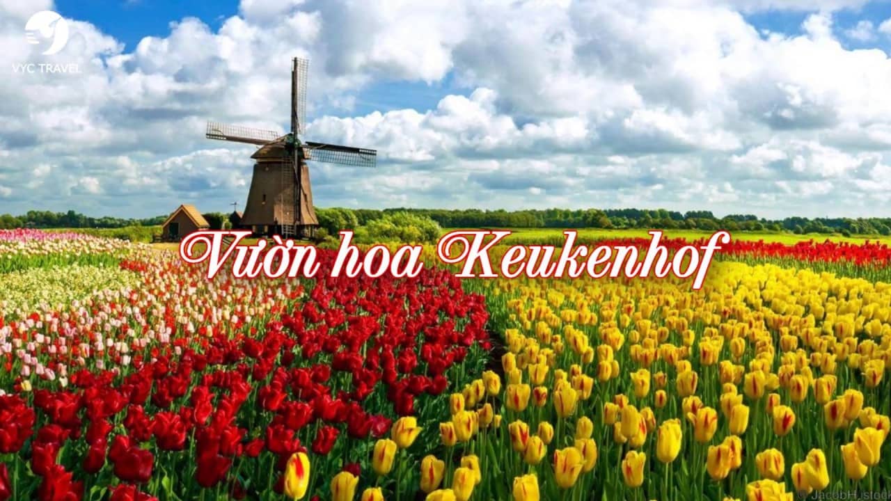 du lịch