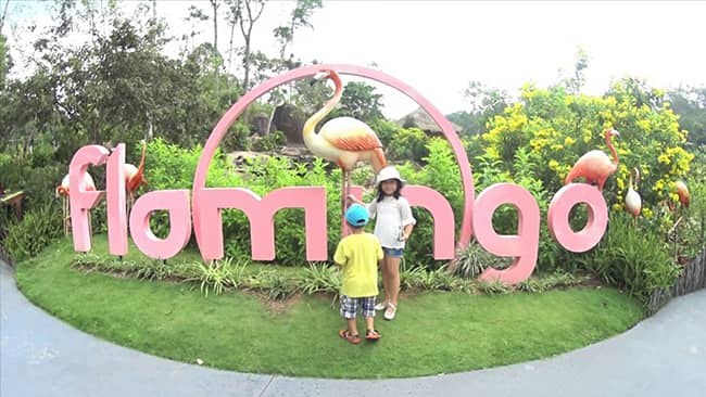 du lịch